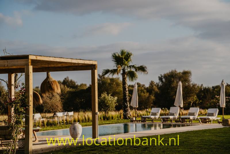 Zwembad met ingeklapte parasols, ligstoelen en een palmboom naast een houten pergola met een hangende mand.