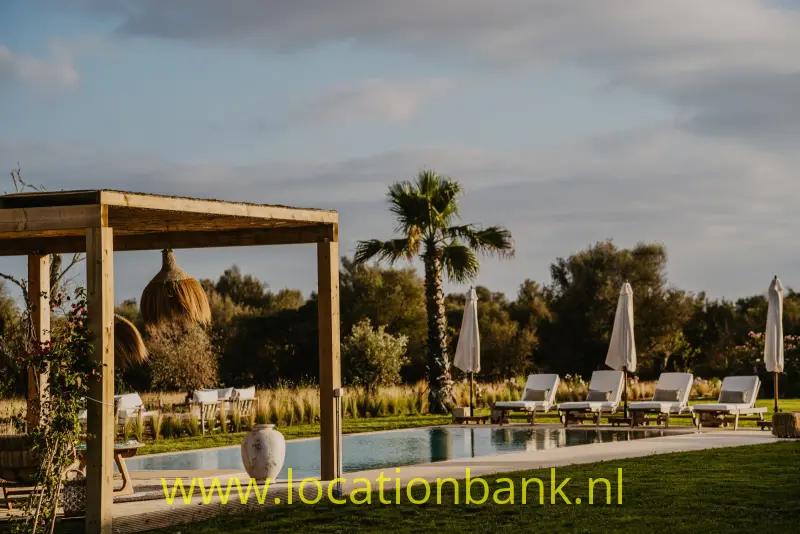 Zwembad met ingeklapte parasols, ligstoelen en een palmboom naast een houten pergola met een hangende mand.