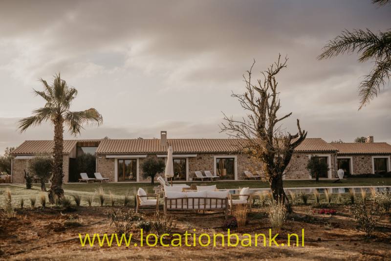 Gelijkvloerse woning met pannendak, een tuin met palmbomen en een rechthoekig zwembad.