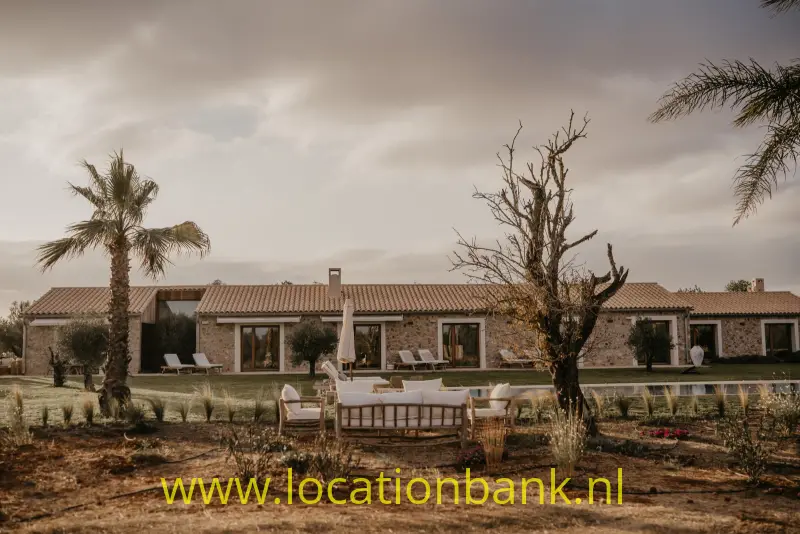 Gelijkvloerse woning met pannendak, een tuin met palmbomen en een rechthoekig zwembad.