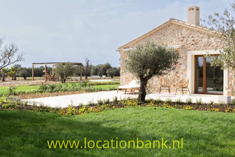 Stenen huis met een olijfboom, bloemperk en gazon, met velden en een houten pergola op de achtergrond.