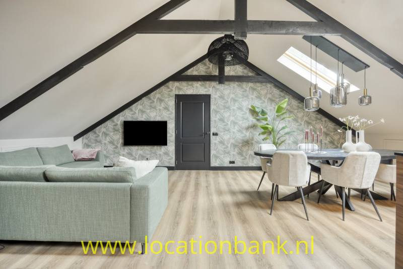 Open woon- en eetruimte met een lichtgroene bank, eettafel, planten en zichtbare donkere dakbalken.