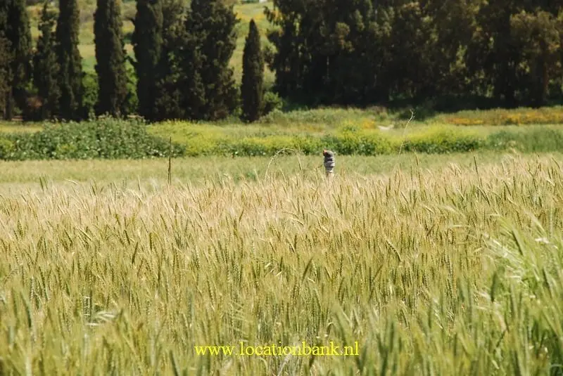 Graanveld (alleen tussen maart en mei)