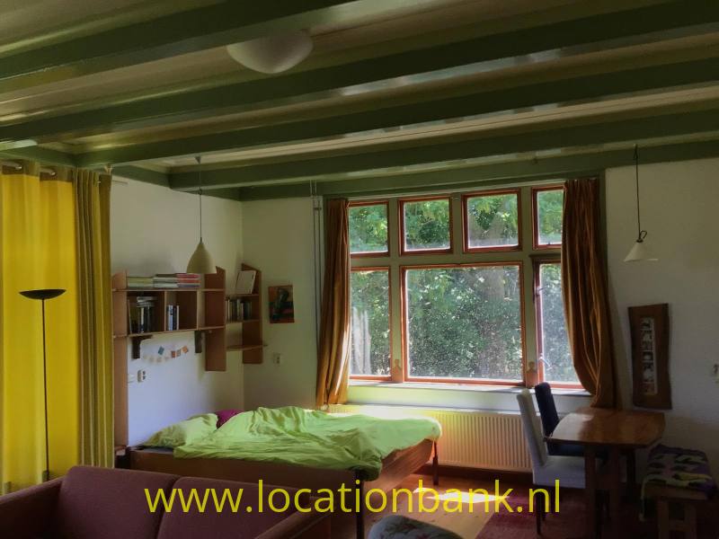 foto_40536