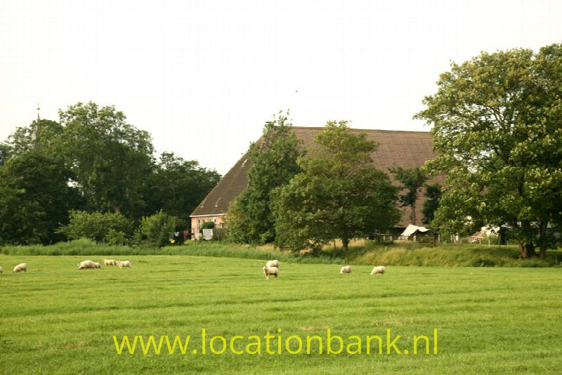 foto_40546