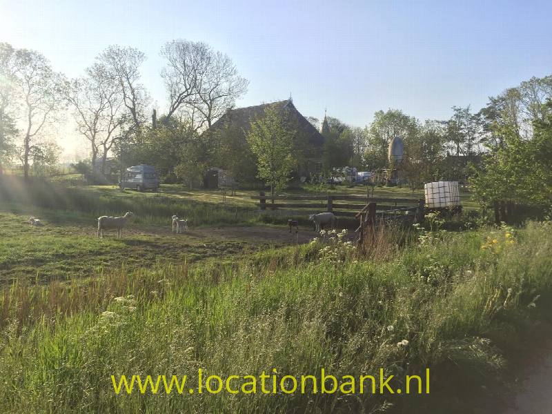 foto_40547
