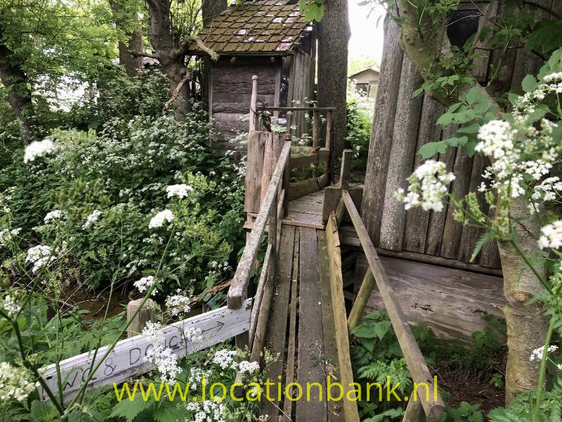foto_40555
