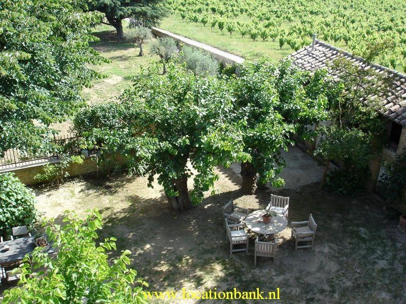 uitzicht op de court en de druivenranken