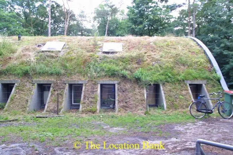 Gebouw in bos