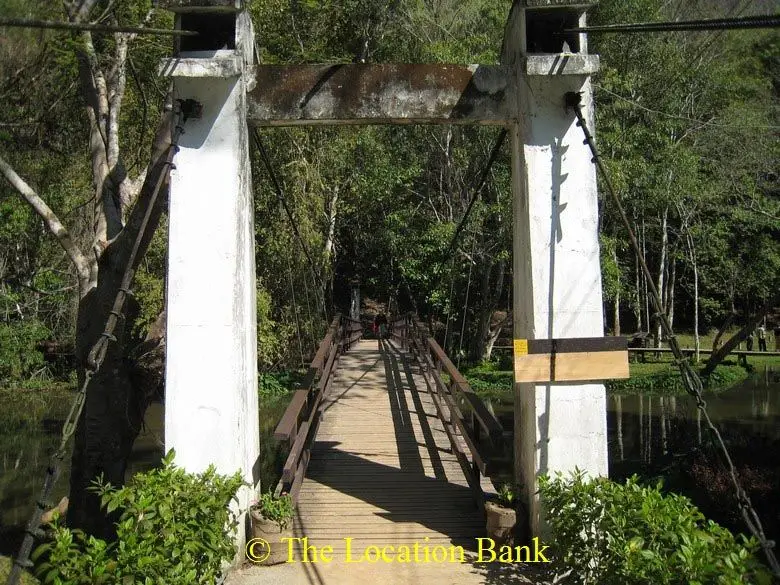 Brug in jungle
