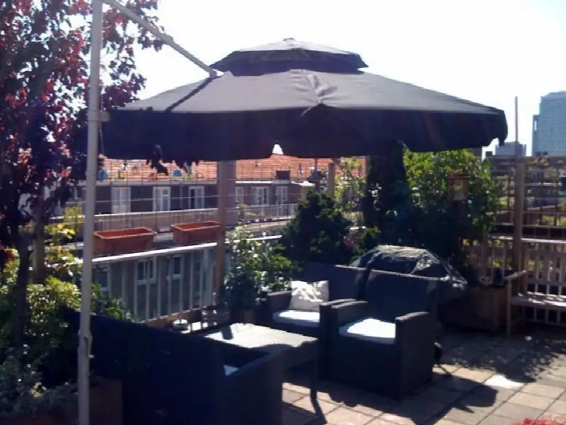 dakterras