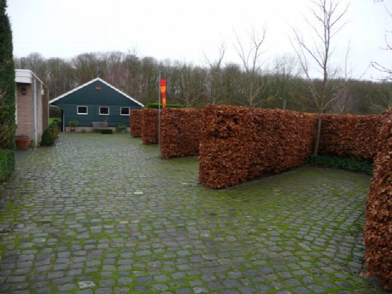 parking/parkeerplaatsen