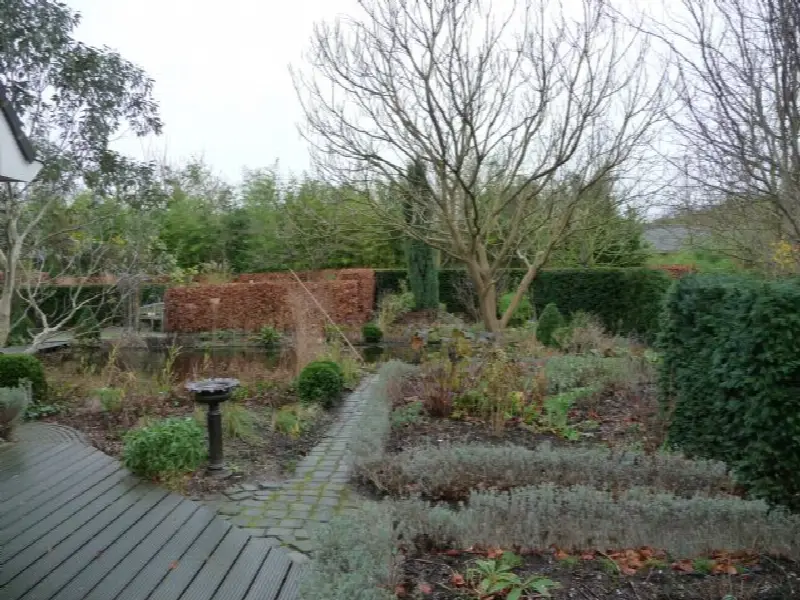 garden/tuin