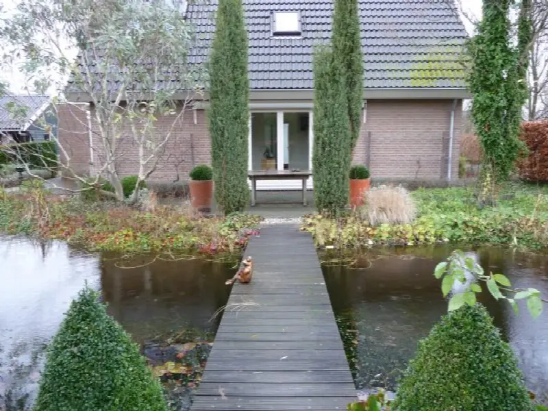 pond/vijver