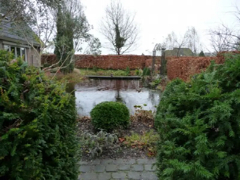 pond/vijver