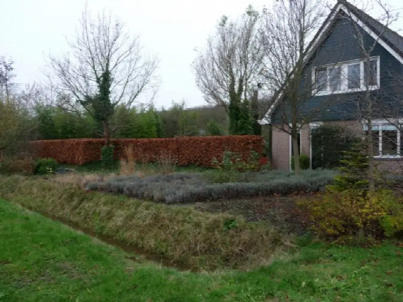 cottage/woning