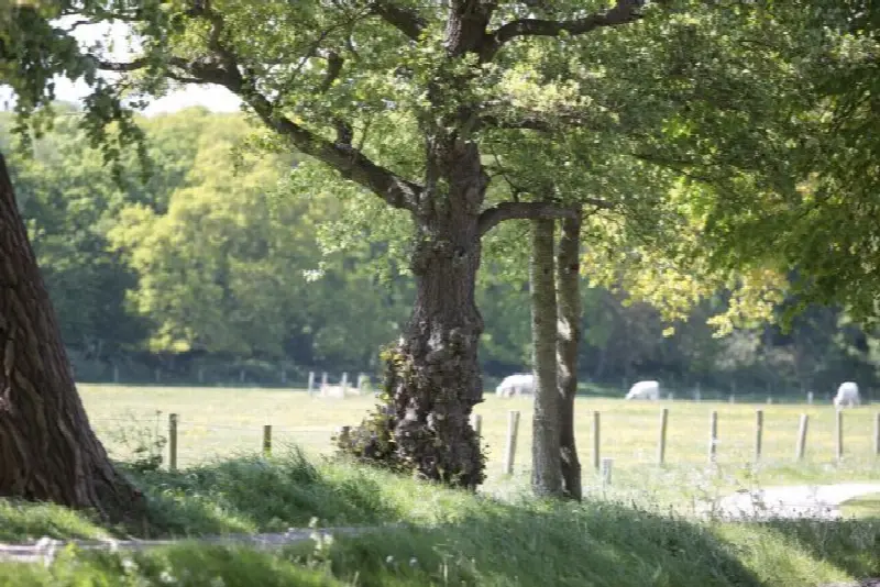 Overzijde van de villa