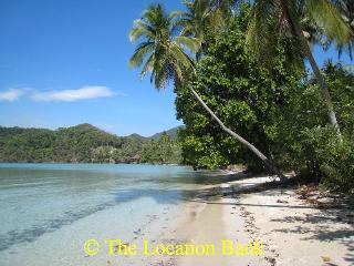 Tropisch strand