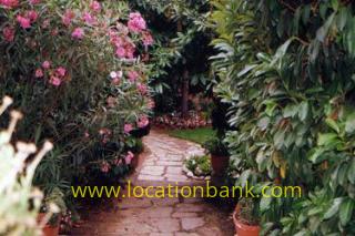 Location 854