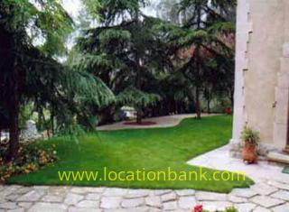 Location 854
