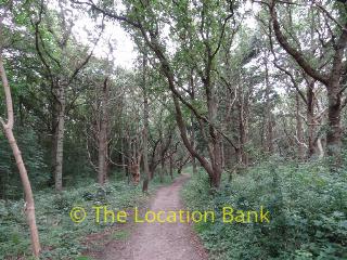 film location 1264