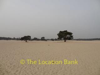 landscape dunes nature
