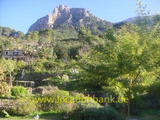 film location 2449