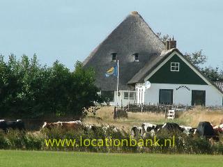 zomerboerderij