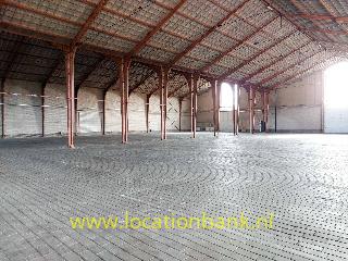 Locatie 1356