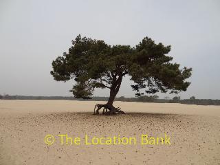 Locatie 1517