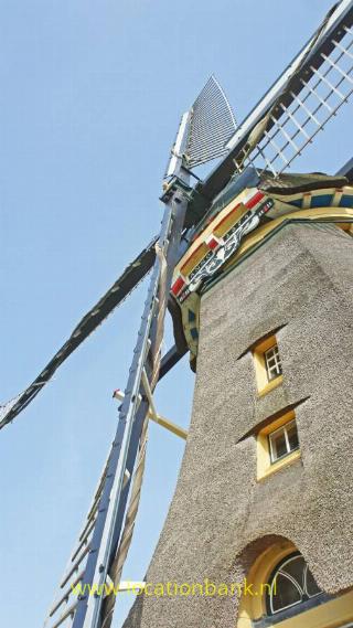 hollandse windmolen