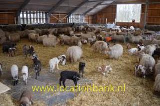 Locatie 2766