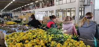 Locatie 3103