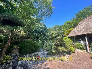Locatie 3521
