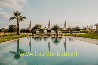 Ein rechteckiger Swimmingpool mit Sonnenschirmen, Liegestühlen, Palmen und grasbewachsenen Beeten.