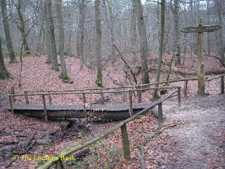 Houten brug in het bos