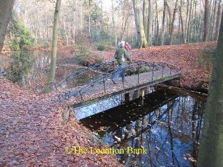 voetbrug in bos