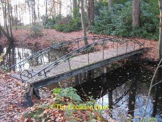 voetbrug in bos