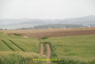 Graanveld (alleen tussen maart en mei)