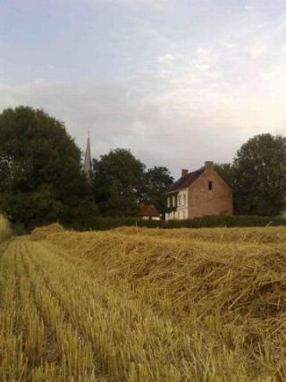 Locatie 849