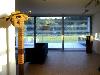 living with garden view
