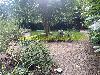 ruime tuin