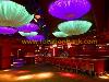discotheque disco nightclub