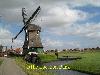 Typical dutch windmill