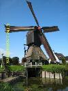 Typical dutch windmill