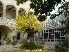 courtyard patio