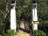 Bridge in the jungle
