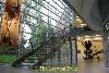 stairs and glass wall