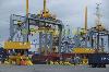 Harbour or container terminal with cranes