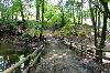 Forest mit little pond und Brücke